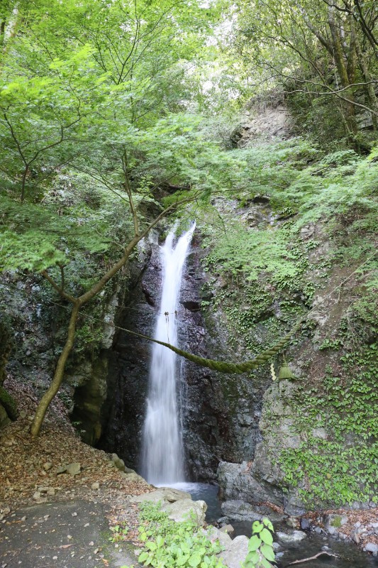 【四国の道の駅】徳島編 三野 フミ調
