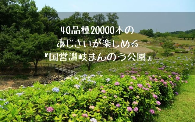 40品種000本のあじさいが楽しめる 国営讃岐まんのう公園 フミ調